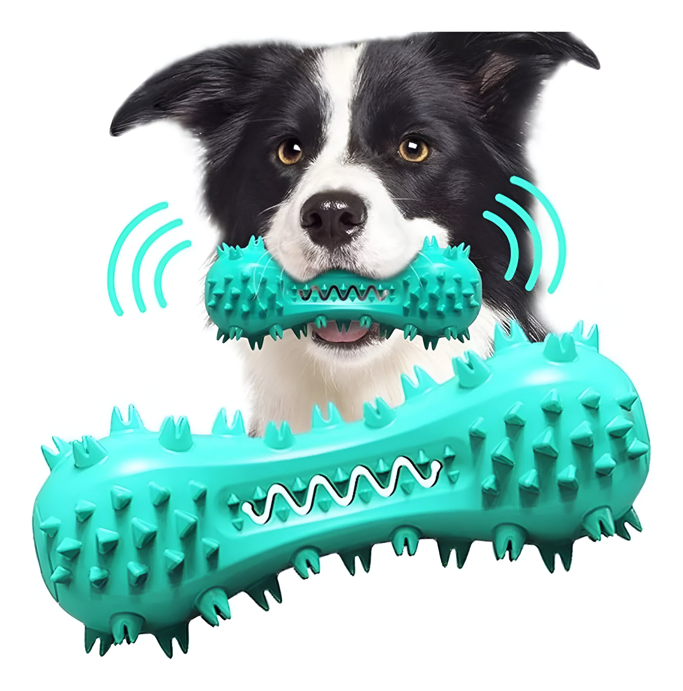 Juguete de perro con lavado de dientes